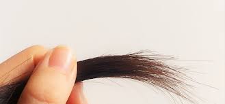 枝毛・切れ毛の対処法は？ | BSR PRESS | 人気美容室情報 ベストサロンレポート